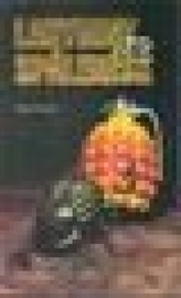 9788080611248-labyrint-zo-spalenisk